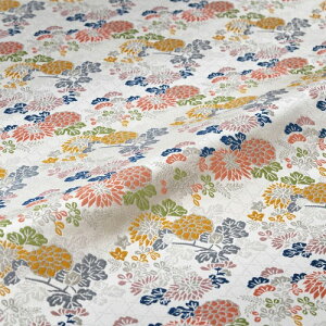 n zn | H  Ė  wD ї  VN 30cm 10cmP Ejq͂ [؂ l` ߑ az an an