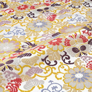 n zn | e P  g   wD  VN 60cm 10cmP an͂ [؂ JbgNX az zc an