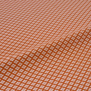 n zn | wD ͂ Hl IW ї  VN@a VN 30cm 󒠒[؂ JbgNX az an an 10cmP