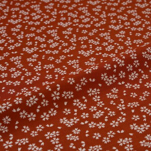 n zn | wD ͂ U炵  ї  VN@a VN 60cm 󒠒[؂ JbgNX az an an 10cmP