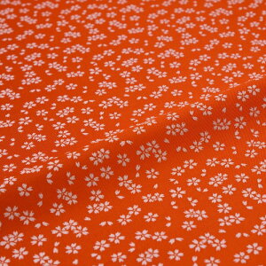 n zn | wD ͂ U炵 IW ї  VN@a VN 30cm 󒠒[؂ JbgNX az an an 10cmP