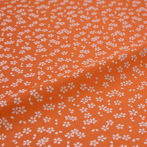 n zn | wD ͂ U炵 IW ї  VN@a VN 30cm 󒠒[؂ JbgNX az an an 10cmP