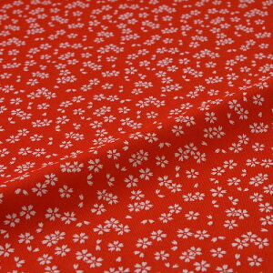 n zn | wD ͂ U炵  ї  VN@a VN 30cm 󒠒[؂ JbgNX az an an 10cmP