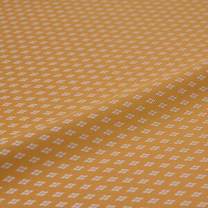 n zn | wD ͂ VH IW ї  VN@a VN 60cm 󒠒[؂ JbgNX az an an 10cmP