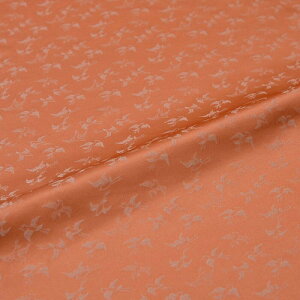 n zn |  IW wD jq \n  VN@a VN 30cm 10cmP an Jo[ ͂ [؂ JbgNX az an an