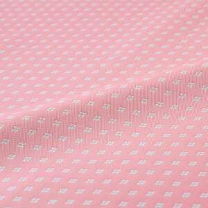 n zn | cH sN wD  VN @a 30cm 10cmP a͂ [؂ JbgNX az  Jo[