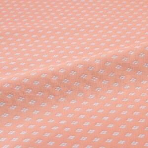 n zn | cH  wD  VN @a 60cm 10cmP a͂ [؂ JbgNX az  Jo[