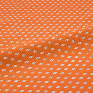 n zn | cH  wD  VN @a 30cm 10cmP a͂ [؂ JbgNX az  Jo[