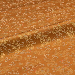 n zn | Ԋۖ   wD  VN 30cm 10cmP a͂ [؂ JbgNX az  Jo[