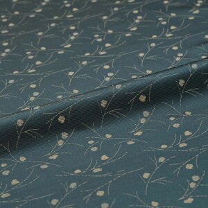 n zn |   wD  VN 30cm 10cmP a͂ [؂ JbgNX az  Jo[