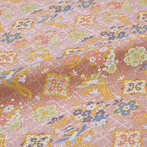 n zn | ԂɖP sN wD  VN 60cm 10cmP a͂ [؂ JbgNX az  Jo[