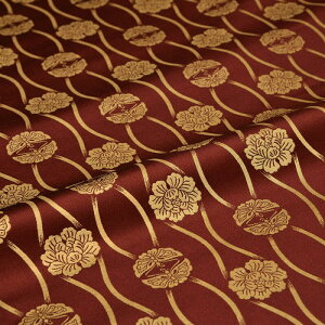 n zn | O  O LEl   VN @a 30cm 10cmP anP[X [؂ JbgNX az an an