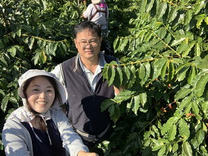 SALE@p@ti`CFj葑 蓤100g@1031