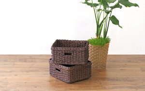 Cd おしゃれ ケース 収納ケース カラーボックス 通販 価格比較 価格 Com