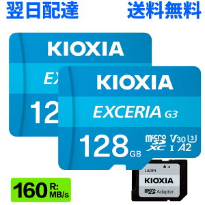 2���Z�b�g �}�C�N��sd�J�[�h microSDXC 128GB microSD�J�[�h KIOXIA �L�I�N�V�A EXCERIA G2 UHS-I U3 V30 4K A2�Ή� Class10 R:160MB/s W:50MB/s Nintendo Switch����m�F�� SD�ϊ��A�_�v�^�[�t LMEX2L128GG2 �C�O�p�b�P�[�W ����