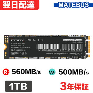 M.2 SATA SSD 1TB 2280 3D NAND TLC̗p SATA3 6Gb/s őǎ560MB/s fanxiang S201Pro SSD 3Nۏ zB 