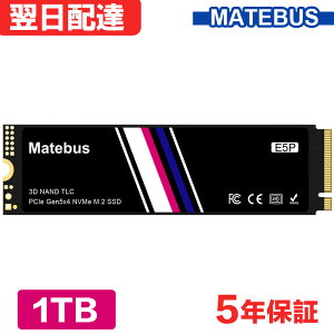 _X[p[SALE |Cg2{^ SSD 1TB PCIe Gen5 M.2 NVMe 2280 DRAM Ǎ14000MB/s 11000MB/s SMI 6nmRg[[ PS5mF 5Nۏ Matebus E5P-1TBNV100yuhz zB 