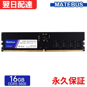 _X[p[SALE |Cg2{^ fXNgbvPCp PC5-44800(DDR5-5600) 16GB DIMM 1.1V CL46 288pin ivۏ Matebus RM16G56HUD5Ayuhz zB 