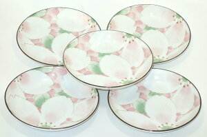 Z  XC[gt[ y5.0M 5Zbg v[gZbg pM aM aH  v[g Mtg  j j LOi