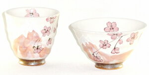 Lc  xmRƍ()AqAۃZbgv[g Mtg  j j LOi