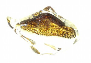 с[ǂ ޗ  KX   ̂Nl` u N  }t x Mtg  j j LOi