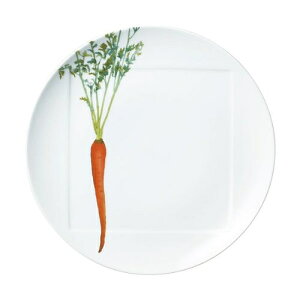 �m���^�P��Noritake�������{�� 27cm�v���[�g �����l�Q�v���[���g �M�t�g ������ �j ���j�� �L�O�i �H�� �Z�b�g ���� �����o�� ���o�� ���j�� ���Ԃ� �o�Y���j�� ���C�j��