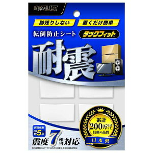 �k��H�� �^�b�N�t�C�b�g �N���A 30 TF-2040CL-3