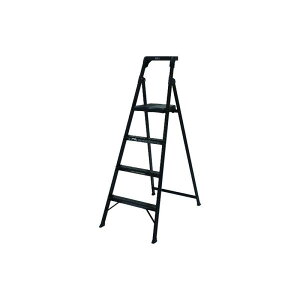 �y26��1:59�� �G���g���[��P10�{�z �s�J�R�[�|���C�V���� PiCa ��킭�t������BlackEdition MFT-BK�^ MFT-4BK