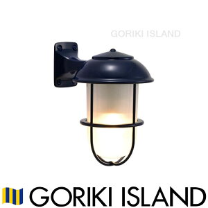 S[LACh BR5000 NV FR LE lCr[u[ 750741 }v O    ʏ CeA AeB[N JtF Lb` Ki }Cg