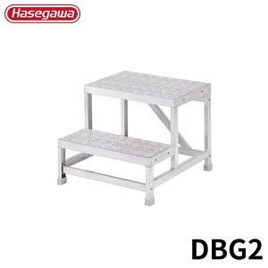 Hasegawa CgXebv DBG2 A~ ܂肽 Ⴝ q y y A~ r J nZK