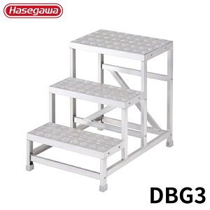 Hasegawa CgXebv DBG3 A~ ܂肽 Ⴝ q y y A~ r J nZK