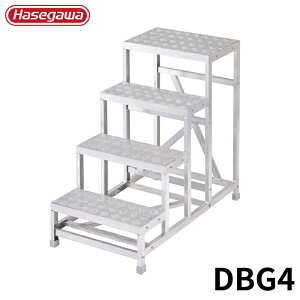 Hasegawa CgXebv DBG4 A~ ܂肽 Ⴝ q y y A~ r J nZK