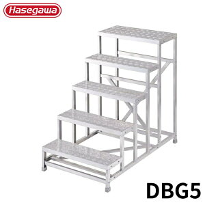 Hasegawa CgXebv DBG5 A~ ܂肽 Ⴝ q y y A~ r J nZK