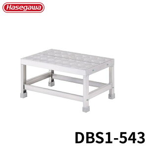 Hasegawa CgXebv(Ȕ^Cv) DBS1-543 A~ ܂肽 Ⴝ q y y A~ r J nZK