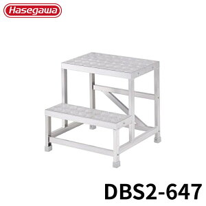 Hasegawa CgXebv(Ȕ^Cv) DBS2-647 A~ ܂肽 Ⴝ q y y A~ r J nZK