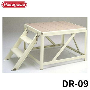 Hasegawa A~ DR-09 A~ ܂肽 Ⴝ q y y A~ r J nZK