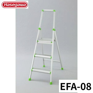 Hasegawa 킭t EFA-08 A~ ܂肽 Ⴝ q y y A~ r J nZK