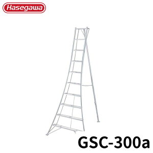 Hasegawa Orr GSC-300a A~ ܂肽 Ⴝ q y y A~ r J nZK