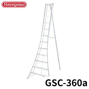 Hasegawa Orr GSC-360a A~ ܂肽 Ⴝ q y y A~ r J nZK