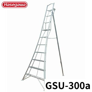Hasegawa 킭tOrr GSU-300a A~ ܂肽 Ⴝ q y y A~ r J nZK