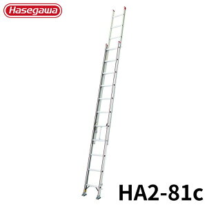 Hasegawa 2A͂ HA2-81c A~ ܂肽 Ⴝ q y y A~ r J nZK