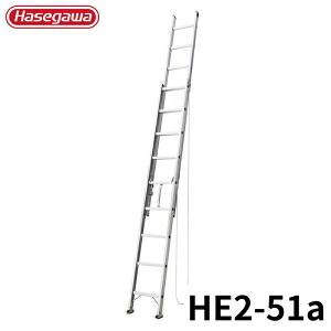 Hasegawa 2A͂ HE2-51a A~ ܂肽 Ⴝ q y y A~ r J nZK