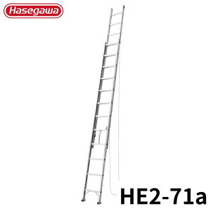 Hasegawa 2A͂ HE2-71a A~ ܂肽 Ⴝ q y y A~ r J nZK