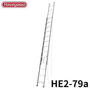 Hasegawa 2A͂ HE2-79a A~ ܂肽 Ⴝ q y y A~ r J nZK