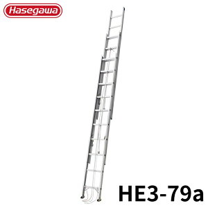 Hasegawa A~3A͂ HE3-79a A~ ܂肽 Ⴝ q y y A~ r J nZK