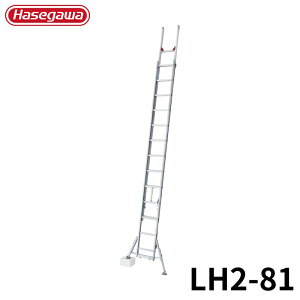 Hasegawa 2A͂n`^(Nm) LH2-81 A~ ܂肽 Ⴝ q y y A~ r J nZK