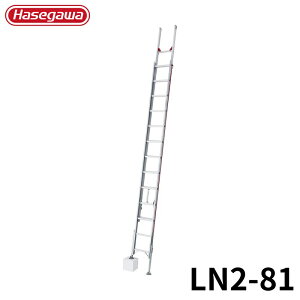 Hasegawa 2A͂mr^(Nm) LN2-81 A~ ܂肽 Ⴝ q y y A~ r J nZK
