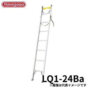 Hasegawa dHp1A͂(xgEoht) LQ1-24Ba A~ ܂肽 Ⴝ q y y A~ r J nZK  ^  vp  El S lC