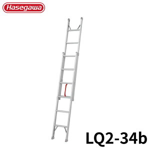 Hasegawa vbVAbv2A͂ LQ2-34b A~ ܂肽 Ⴝ q y y A~ r J nZK