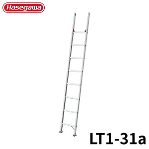 Hasegawa 1A͂(Nm) LT1-31a A~ ܂肽 Ⴝ q y y A~ r J nZK